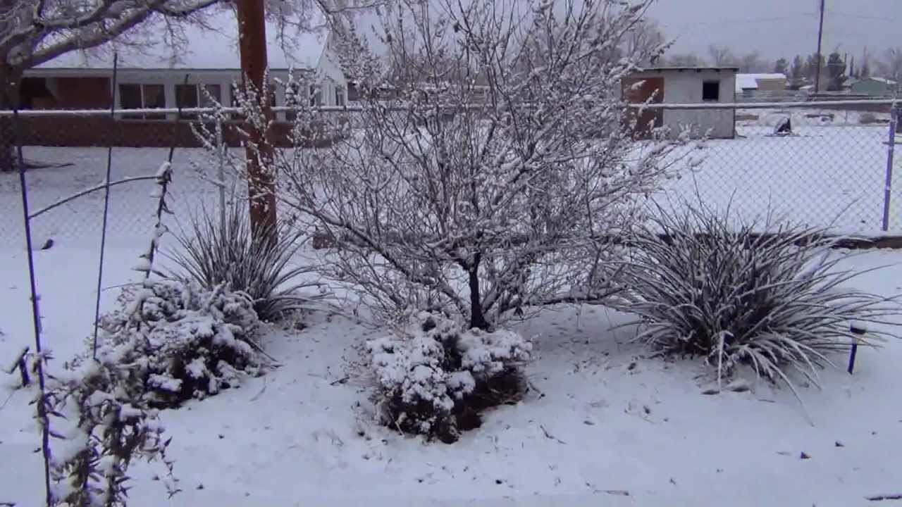 Las Cruces Snowfall 01/04/2013 YouTube