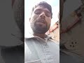 Live highlight