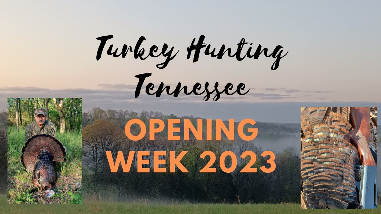 The First Three Days 2023 Tennessee Turkey Season YouTube