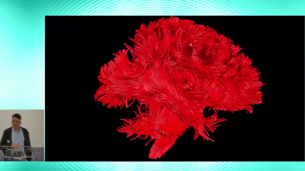 8th BigBrain Workshop 2024: Michel Thiebaut de Schotten - Sievers Lecture in Computational...