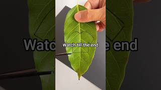 🌿 Beautiful Leaf Dress Craft | Creative Nature Craft Idea | DIY Leaf Art for Kids #shots #craft