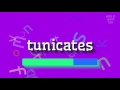 How to say tunicates High Quality Voices