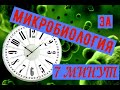 Микробиология за 7 минут