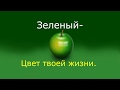 Мощный социальный ролик о безопасности дорожного движения.