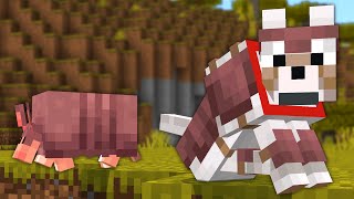 Minecraft: Armadillos and Wolf Armor