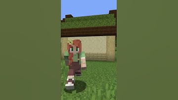 How I picked my Hermitcraft Block Palette #Shorts