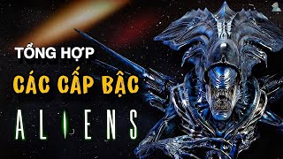 5 Thứ Hạng Quái Vật Không Gian Xenomorph Trong Vũ Trụ Alien Ai Là Kẻ Đứng Đầu Chủng Loài Khát Máu?