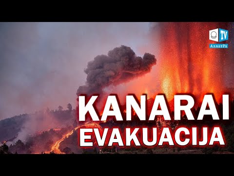 Video: Kodėl hipocentras svarbus?