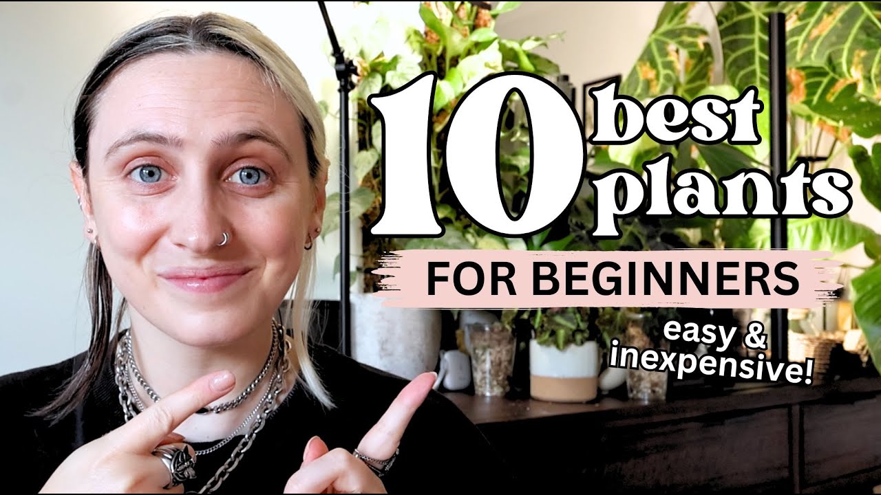 The 10 best plants to start with 🌿 Easy Plants for Beginners