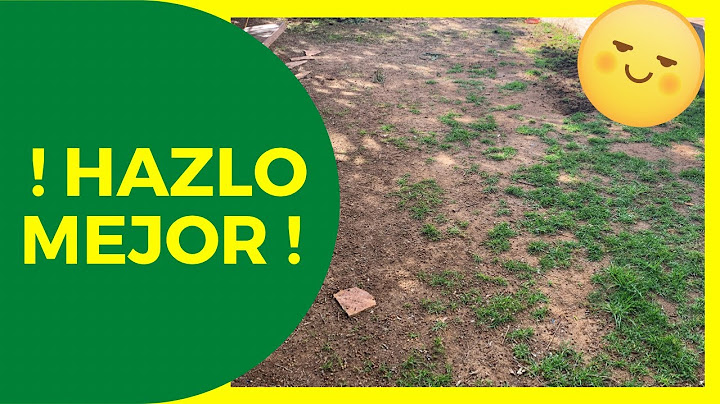 🌱 Cómo PREPARAR el SUELO para INSTALAR Pasto en Rollo 🚀 ¡Evita Errores Costosos!