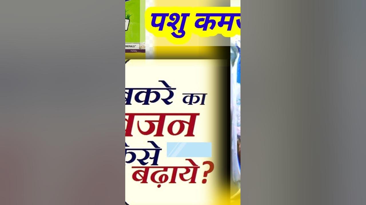 KHURAK POWDER I khurak-powder-i