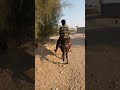 سیلمی عرب اصیل 
