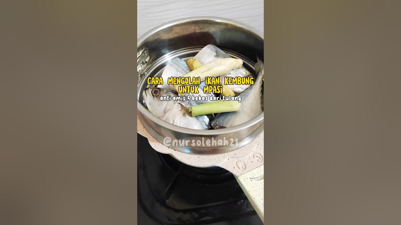 Cara mengolah ikan kembung untuk mpasi dijamin ga bakal amis dan juga terbebas dari tulang. Cara mengolah ikan kembung untuk mpasi dijamin ga bakal amis dan juga terbebas dari tulang.