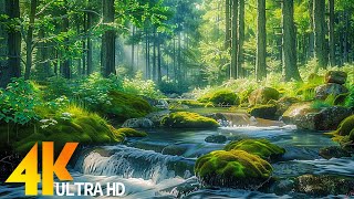 [4K 60FPS] - HEALING MUSIC - Healing music for the heart and blood vessels 🌿 #9