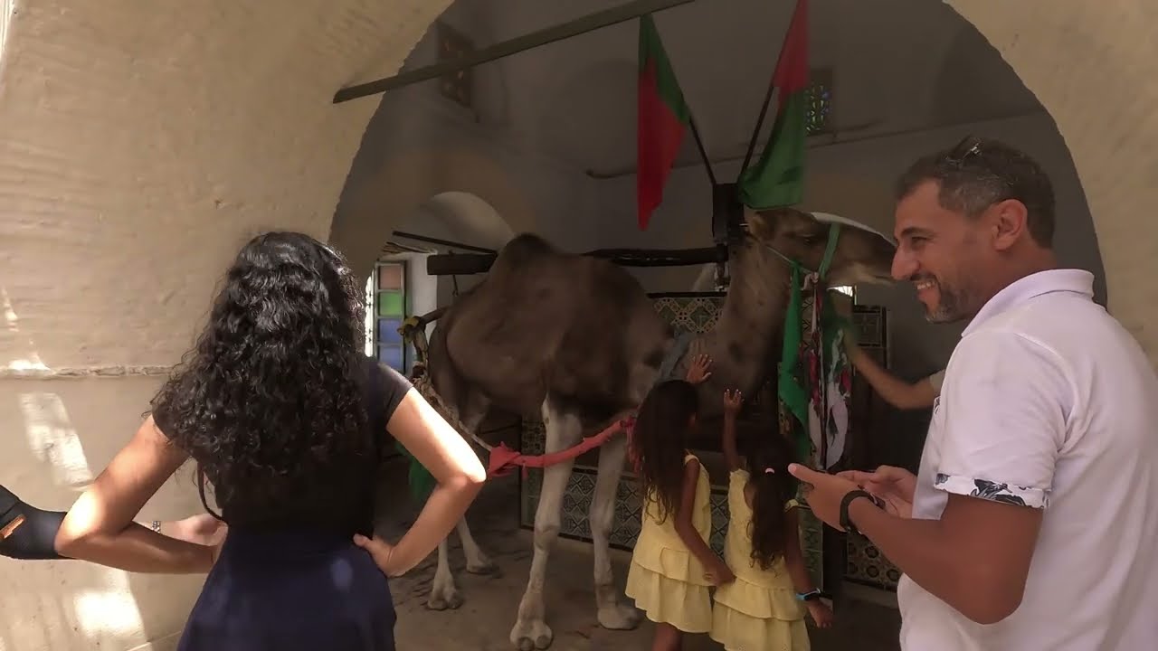 جولة شاملة في مدينة القيروان