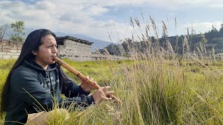 NATIVE MUSIC OF THE ANDES 53 | LIVE - STREAM | Ecuador - Imbabura - Otavalo | DAVID MORALES SK