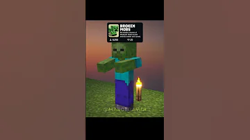 Minecraft BEST Texture Pack Shorts 