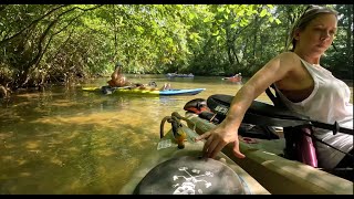 Dared to Go Kayaking at Talladega Creekside when 70 Degrees in 50 Degree Water by Exploring Alabama 3,857 views 1 month ago 34 minutes