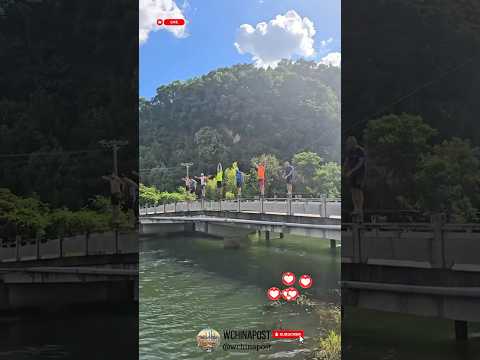 The brigde was weak. #brigde #china #diving #swimming