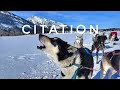 The (Sled) Dog Days of Winter: Ep. 50 Citation