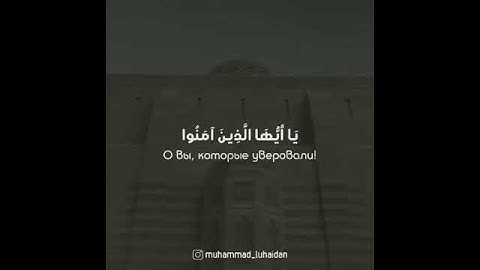 سورة الأحزاب  _  الآية ٥٦