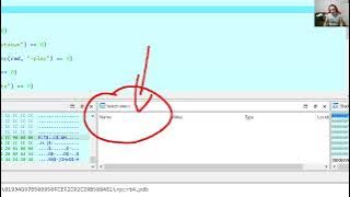 Source level and pseudo-code (decompiler) level debugging with IDA