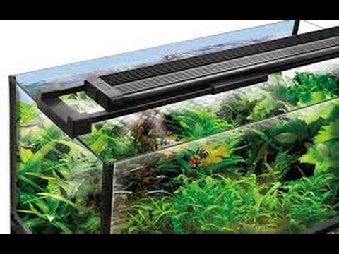 Fluval Aqualife & Plant Performance LED Lighting -