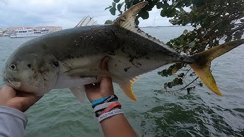 Using BIG Mullet For BIG Jacks Off SEA WALL (Kicked Out)