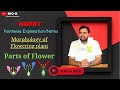 Morphology of Flowering Plant In Epic Way | Parts of Flowers
