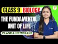 The Fundamental Unit of Life | Class 9 Biology | Plasma Membrane | Rankplus