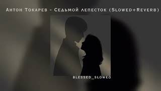 Я невозможно скучаю,я очень болен ... / Антон Токарев - Седьмой лепесток (Slowed + Reverb)