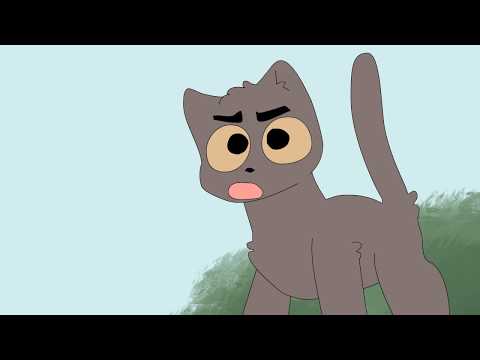 Click to Play Video