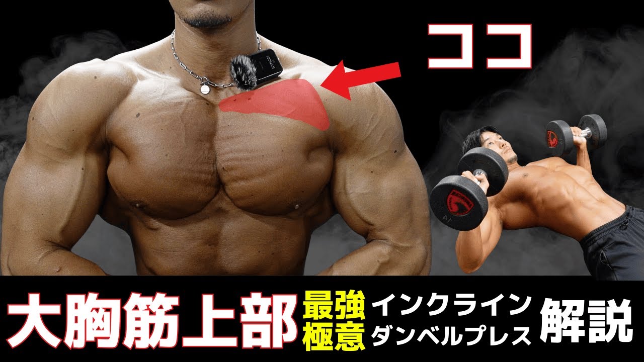 鎖骨の使い方がカギ？絶対に効くようになるインクラインダンベルプレス極意解説