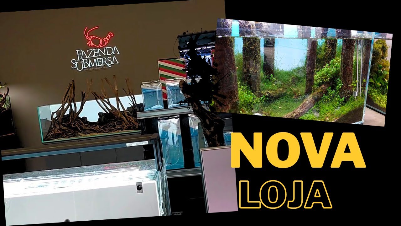 FAZENDA SUBMERSA Nova Loja
