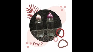 Meristematic Tissue Activity