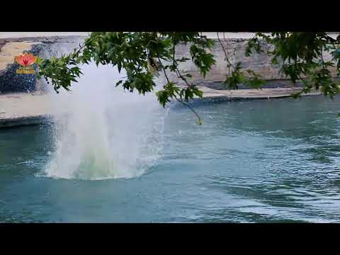 جورج الراسي ميتى اشوفك الشرقية نبض دركوش