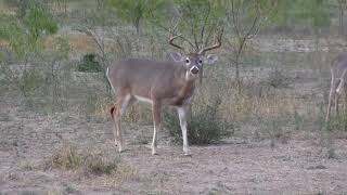 Download 35 Kills - All Bucks, All Bows Video MP3 35 Kills - All Bucks, All Bows