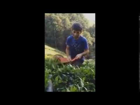 ოოოო რაკაი ჩაია ჯოო