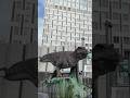 🇯🇵 La ciudad de Japón donde los DINOSAURIOS están por todas partes 🦖😱