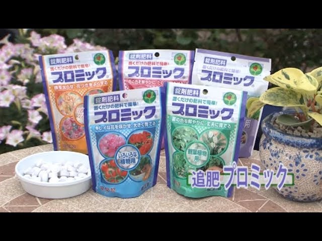園芸のキホン プロミックの使い方 Youtube