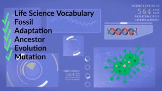 Life Science Vocabulary | Fossil-Adaptation-Ancestor-Evolution-Mutation |