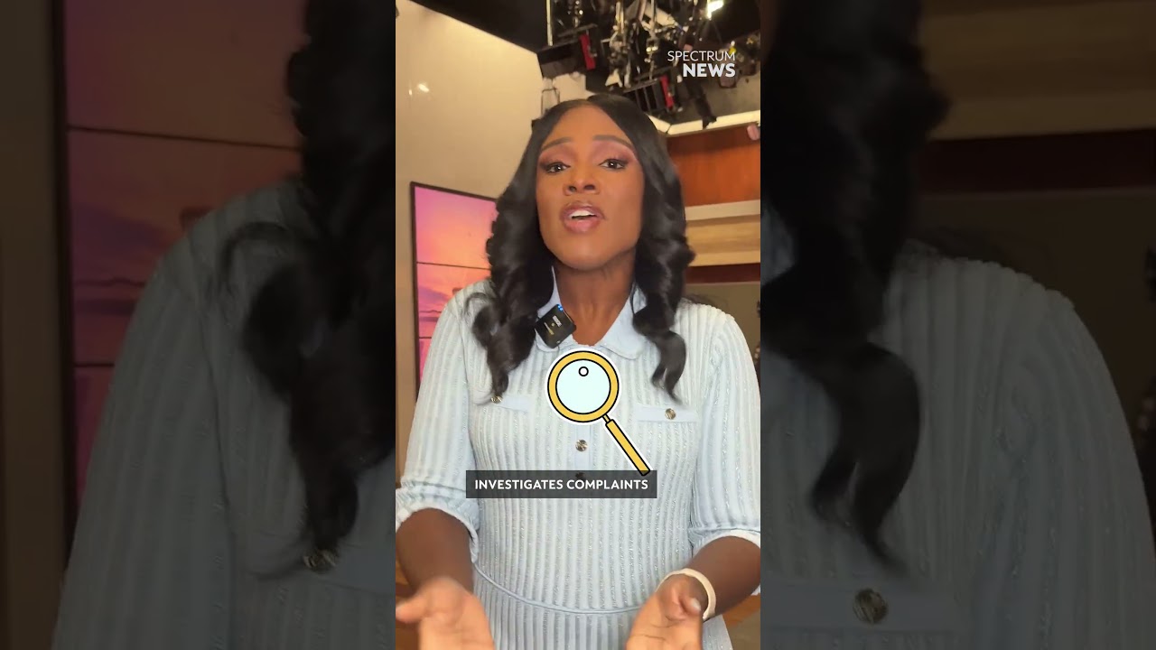 Чем занимается общественный адвокат Нью-Йорка?