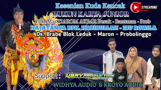 LIVE KUDA KENCAK RUKUN KARYA JUNIOR DI HAJATNYA BPK HABIBULLAH DS BRABE BLOK LEDUK RT17 RW 07