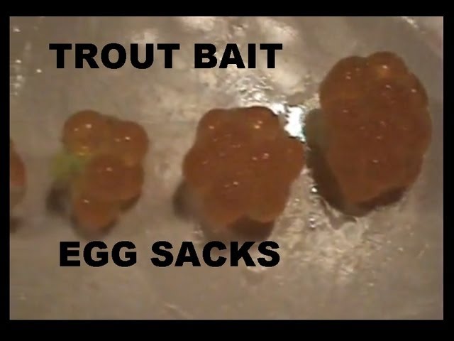 EGG SACKS / TROUT BAIT how to 