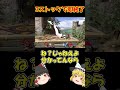 オンラインひとくちスマブラ37　#スマブラ #スマブラsp #ゆっくり実況 #ガノンドロフ #shorts
