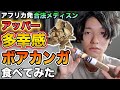 アッパー多幸感「ボアカンガ」食べてみた！アフリカ発天然メディスン。集中力アップ、雑念オフ。ストレス社会で生きる現代人へ