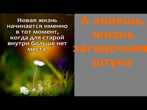 Загадочная штука. А знаешь жизнь загадочная штука стих. Кудрявцев а знаешь жизнь загадочная штука. А знаешь жизнь загадочная штука стих текст.