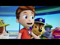 Alex porter  makeing memory member of the paw patrol