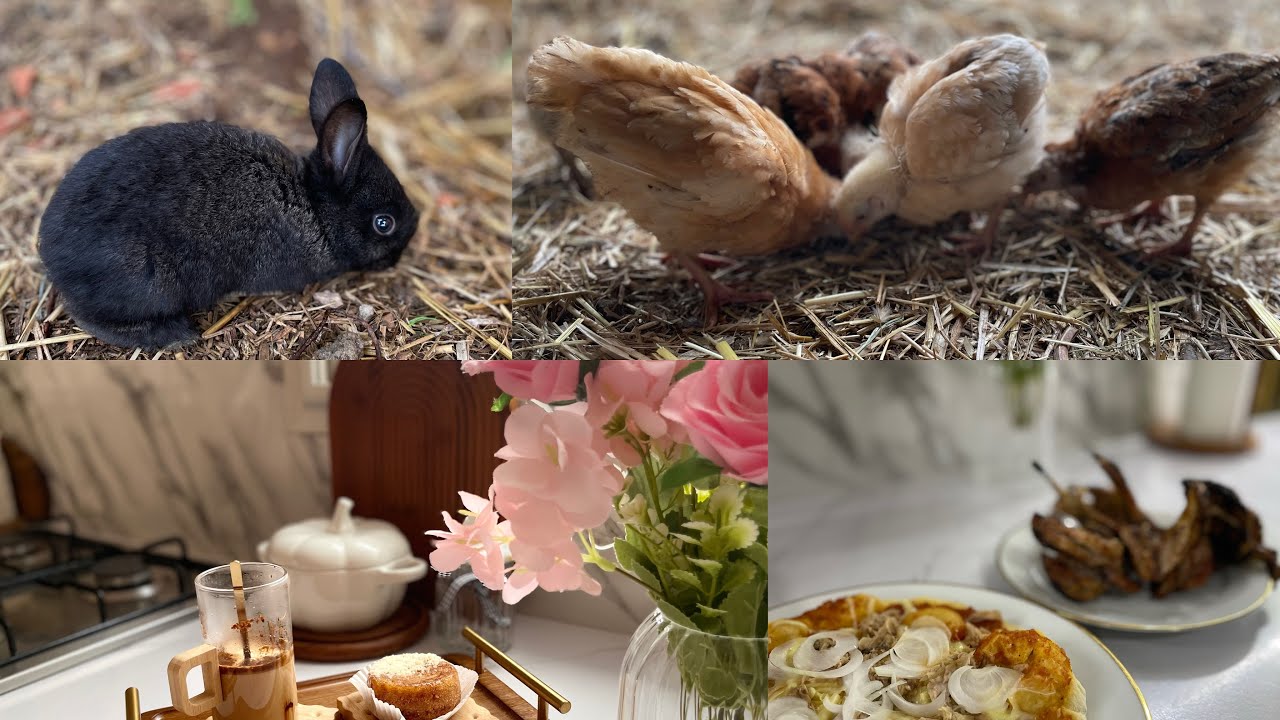 يوم في حياة المزرعة: 🍀🌸من إعداد الفطور 😋إلى تحضير البيتزا والدجاج المشوي!(السمان المشوي)