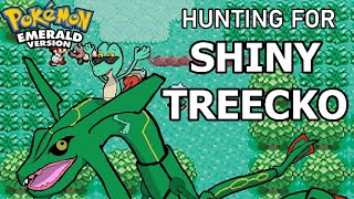 Hunting for SHINY TREECKO - Pokémon Emerald